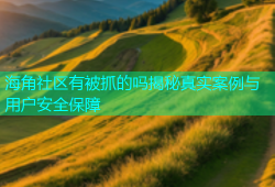 海角社区有被抓的吗揭秘真实案例与用户安全保障