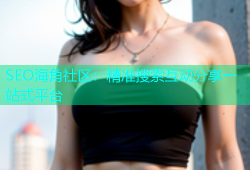 SEO海角社区：精准搜索互动分享一站式平台