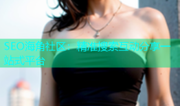 SEO海角社区：精准搜索互动分享一站式平台