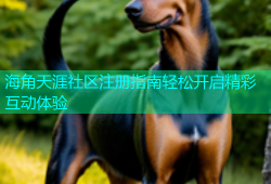 海角天涯社区注册指南轻松开启精彩互动体验