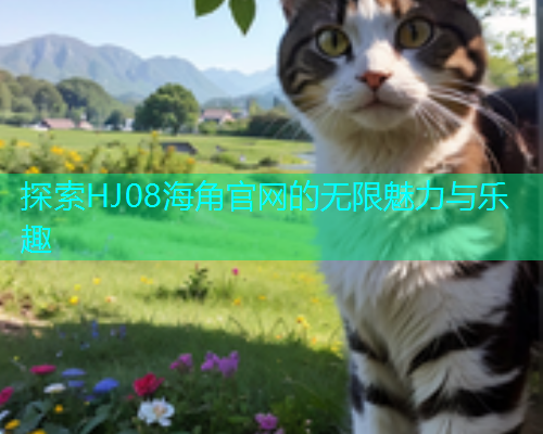 探索HJ08海角官网的无限魅力与乐趣